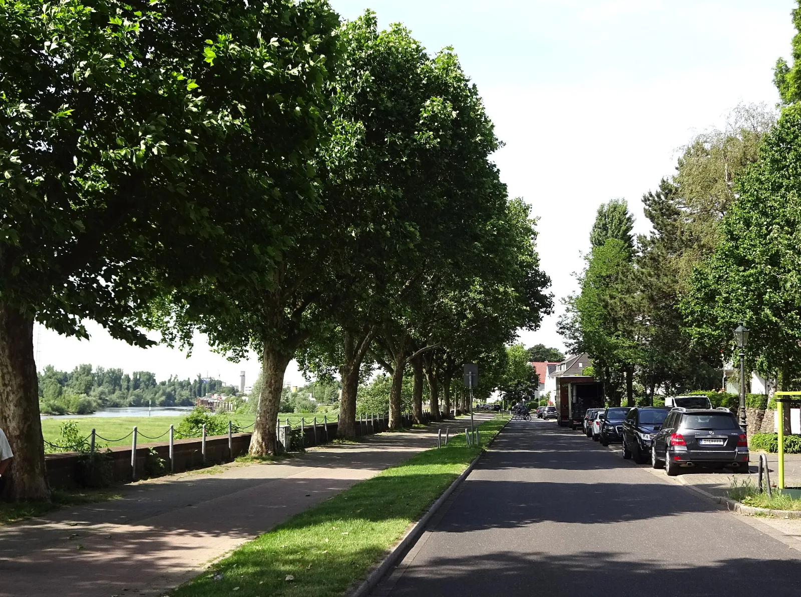 Rheinallee mit Wohnhäusern zwischen Kribbenstraße und Hymgasse – Düsseldorf-Heerdt